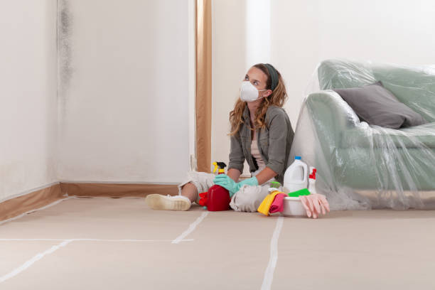 Reliable Mold Remediation contractor in South Amboy, NJ by 24 Hour Mold Removal